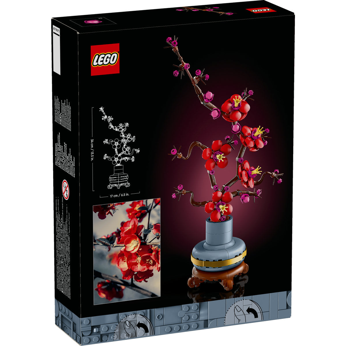 FLORI DE PRUN - LEGO ICONS (CREATOR EXPERT) (10369)