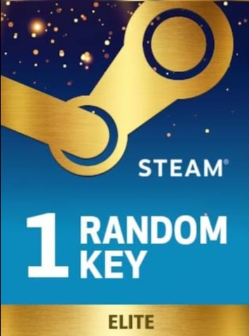 RANDOM ELITE 1 KEY - PC - STEAM - MULTILANGUAGE - WORLDWIDE