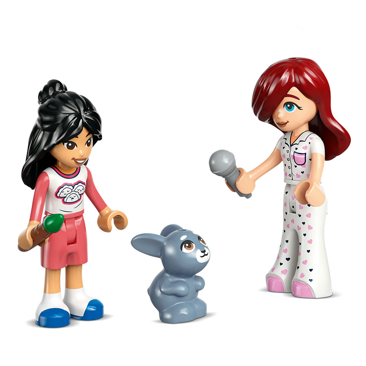 CAMERA LUI PAISLEY - LEGO FRIENDS (42647)