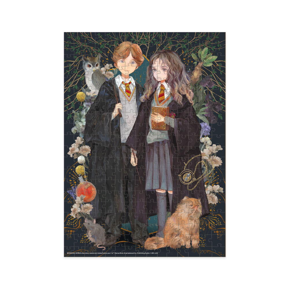 PUZZLE HARRY POTTER - HERMIONE SI RONALD ( 300 PIESE) - DODO (DO200499)