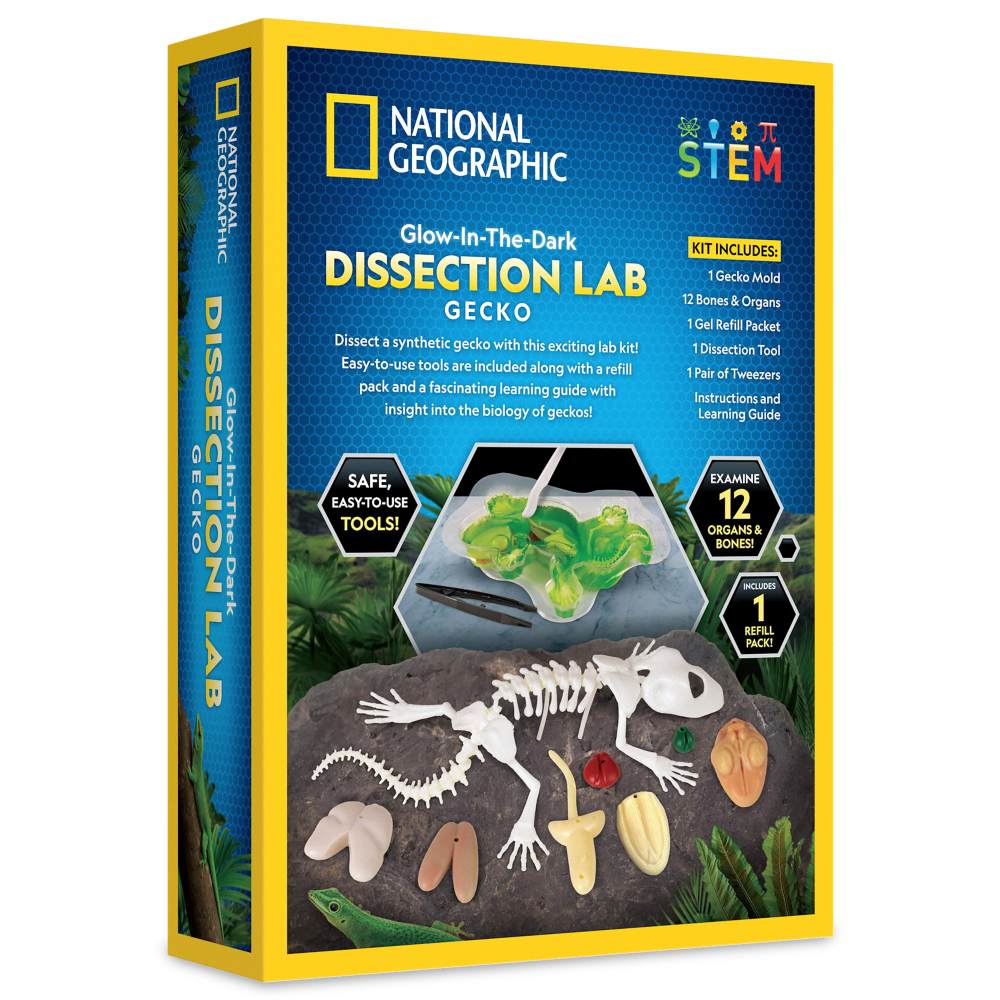 NATIONAL GEOGRAPHIC - KIT CREATIV LABORATOR DE DISECTIE SOPARLA - NATIONAL GEOGRAPHIC (NG23036)