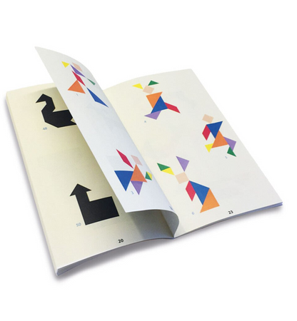 JOC TANGRAM IN CUTIE METALICA- CAYRO (C41T-0124)