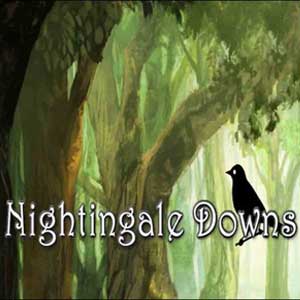 NIGHTINGALE DOWNS - PC - STEAM - MULTILANGUAGE - WORLDWIDE