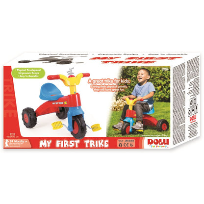 CHILDREN'S TRICYCLE - PASTEL - DOLU (D7206)