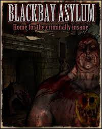 BLACKBAY ASYLUM - PC - STEAM - MULTILANGUAGE - WORLDWIDE - Libelula Vesela - Jocuri video