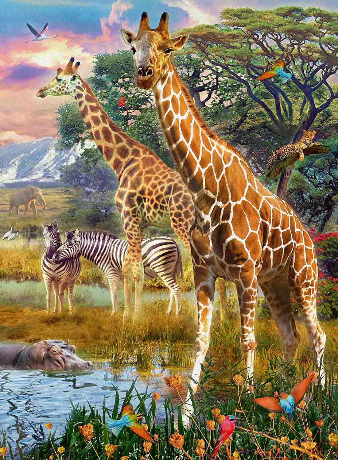 PUZZLE GIRAFE IN AFRICA, 150 PIESE - RAVENSBURGER (RVSPC12943) - Libelula Vesela - Jucarii