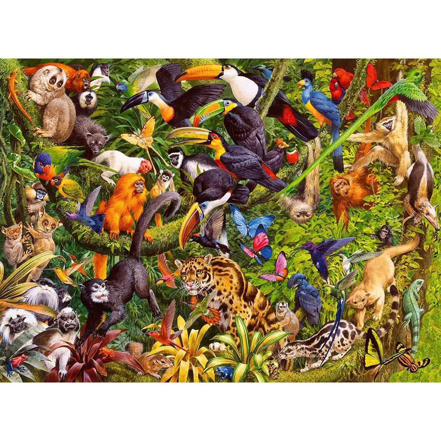 PUZZLE ANIMALE IN PADUREA TROPICALA, 200 PIESE - RAVENSBURGER (RVSPC13351) - Libelula Vesela - Jucarii