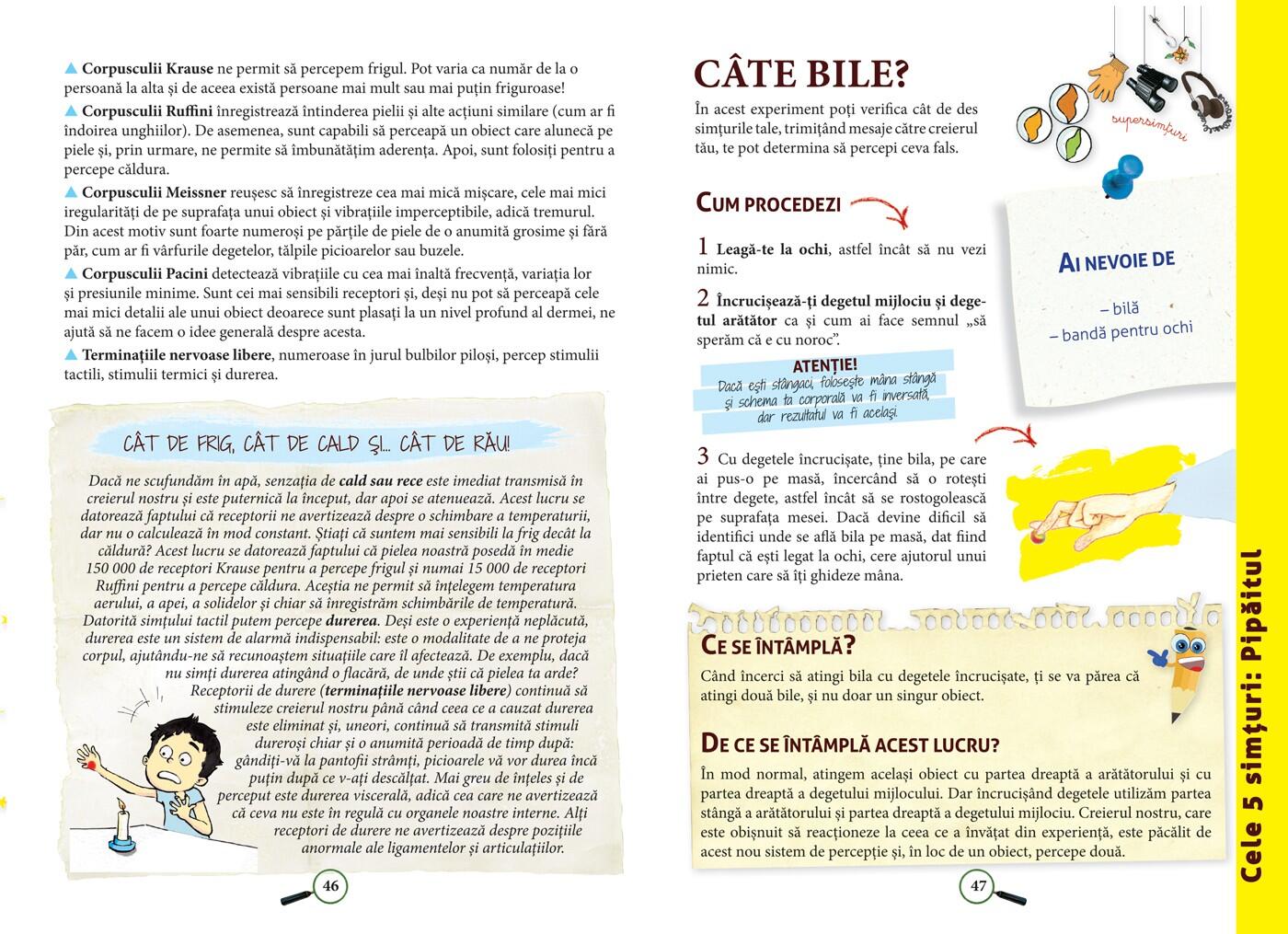 ENCICLOPEDIA EXPERIMENTELOR IN PRACTICA - DPH (978-606-048-226-0) - Libelula Vesela - Carti