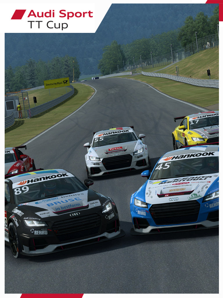 RACEROOM - AUDI SPORT TT CUP 2015 - STEAM - PC - WORLDWIDE - Libelula Vesela - Jocuri video