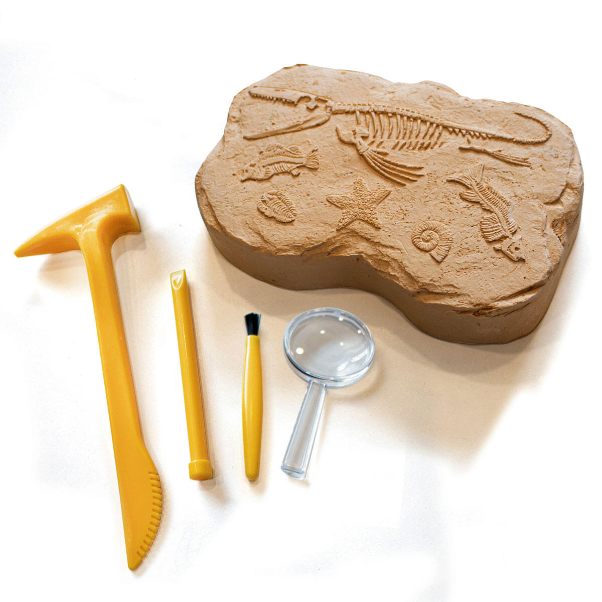 GEOSAFARI - KIT EXCAVARE FOSILE - EDUCATIONAL INSIGHTS (EI-5340) - Libelula Vesela - Jucarii