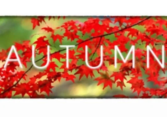 AUTUMN - PC - STEAM - MULTILANGUAGE - WORLDWIDE - Libelula Vesela - Jocuri video