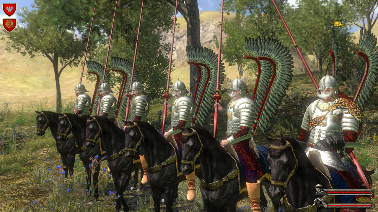 MOUNT & BLADE: WITH FIRE & SWORD - STEAM - PC - WORLDWIDE - Libelula Vesela - Jocuri video