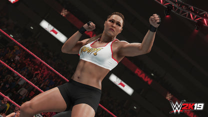 WWE 2K19 (DIGITAL DELUXE EDITION) - STEAM - PC - EU - Libelula Vesela - Jocuri video